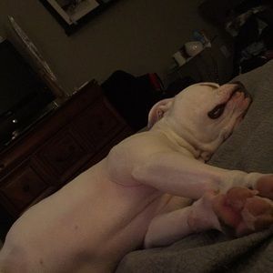 Meet your Posher, Anne-marie